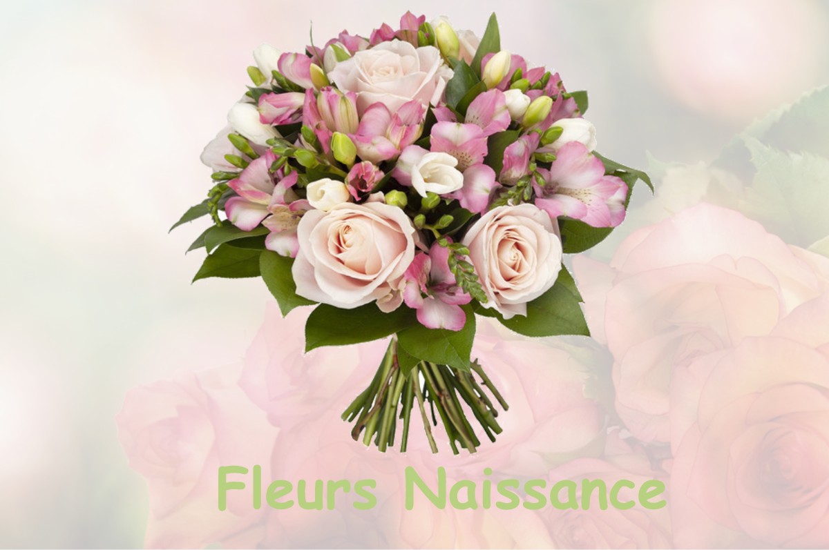 fleurs naissance LA-CAILLERE-SAINT-HILAIRE