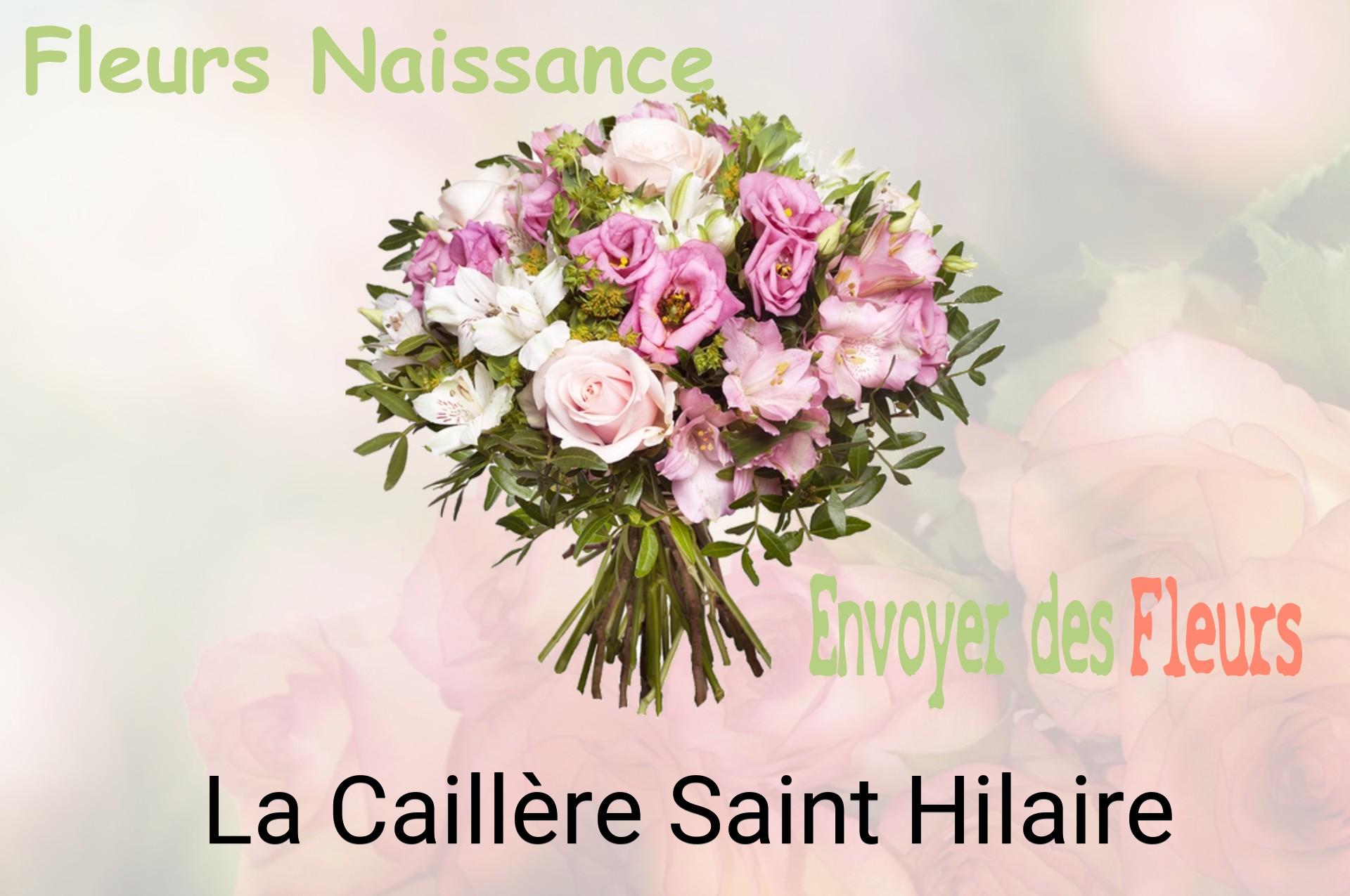 Bouquet de fleurs de naissance livré à La Caillère-Saint-Hilaire
