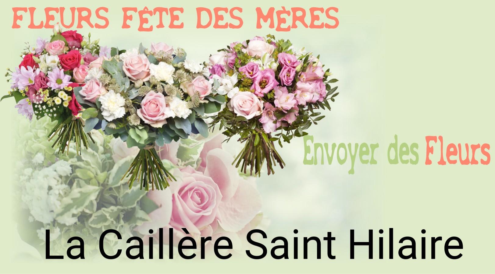 Bouquet de Fête des Mères livré à La Caillère-Saint-Hilaire